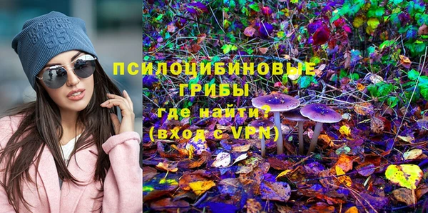метамфетамин Богородицк