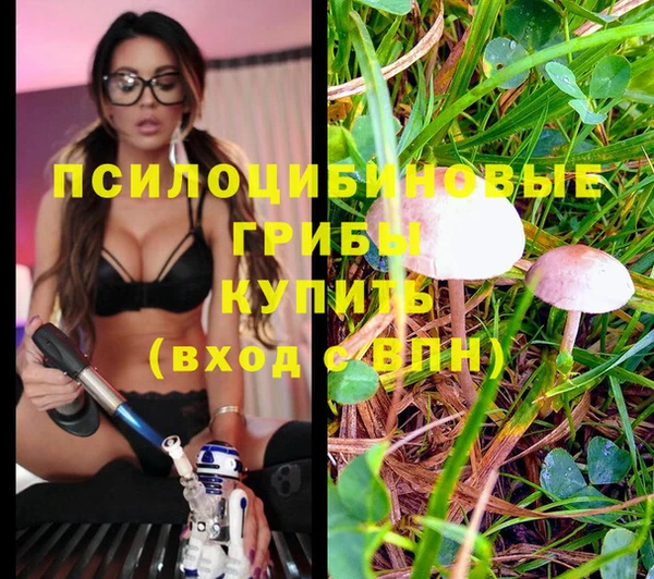 трава Богданович