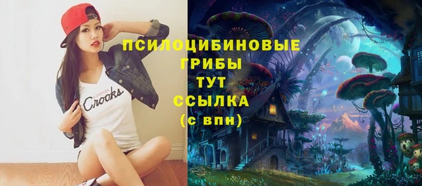 трава Богданович