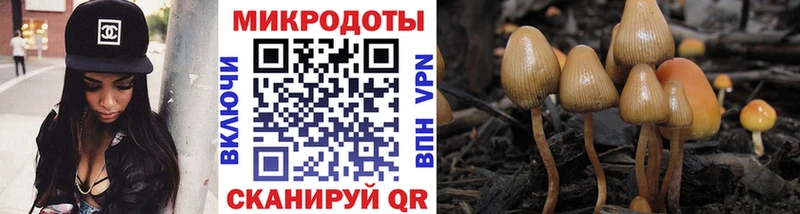 Псилоцибиновые грибы Cubensis  Купить закладки  Североморск 