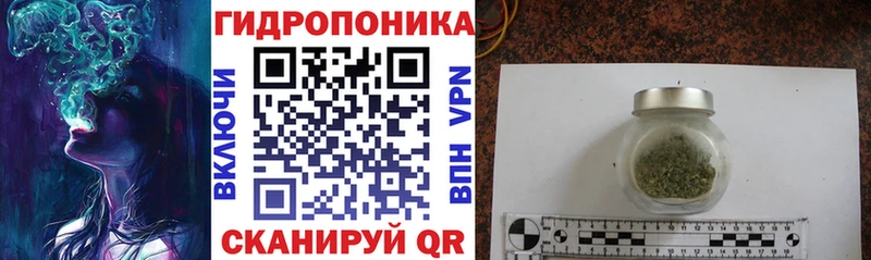 Купить где Североморск Бошки Шишки гибрид